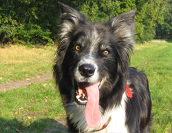 Jake1