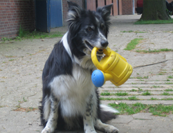 Jake3