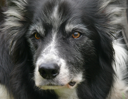 Jake6