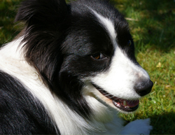keesha7